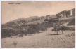Панорама города Жирженти Открытка Размер: 14 х 9 см 1910 г инфо 11493v.